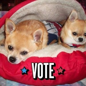 Meet your Posher, Gwendolyn